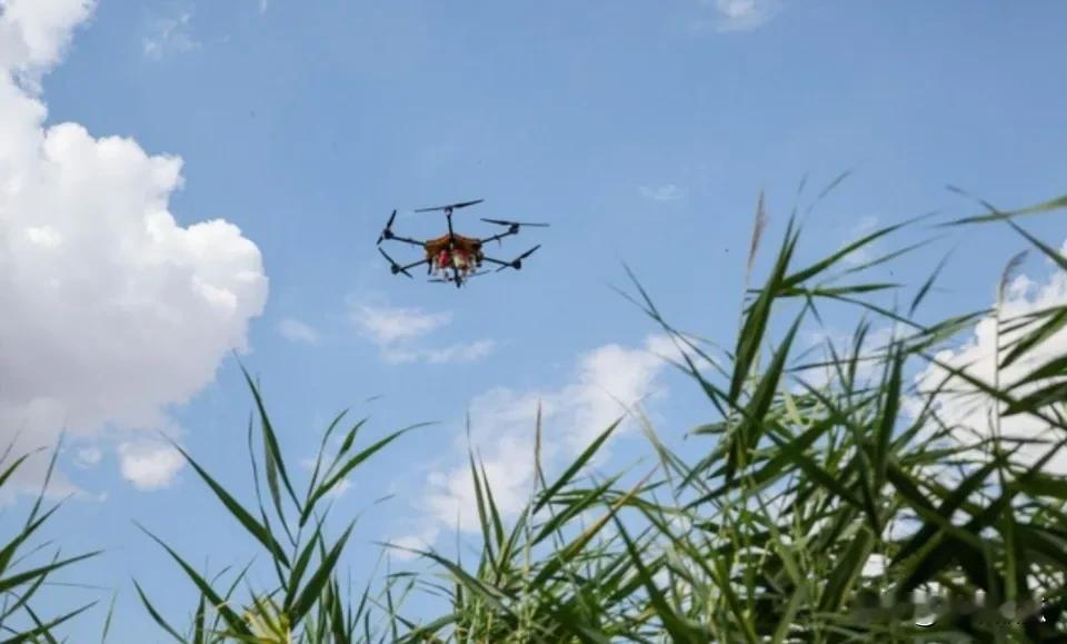 俄军运输无人机，可以给孤立在前线阵地突击队运输紧急物资，弹药，食品和水，医疗耗材