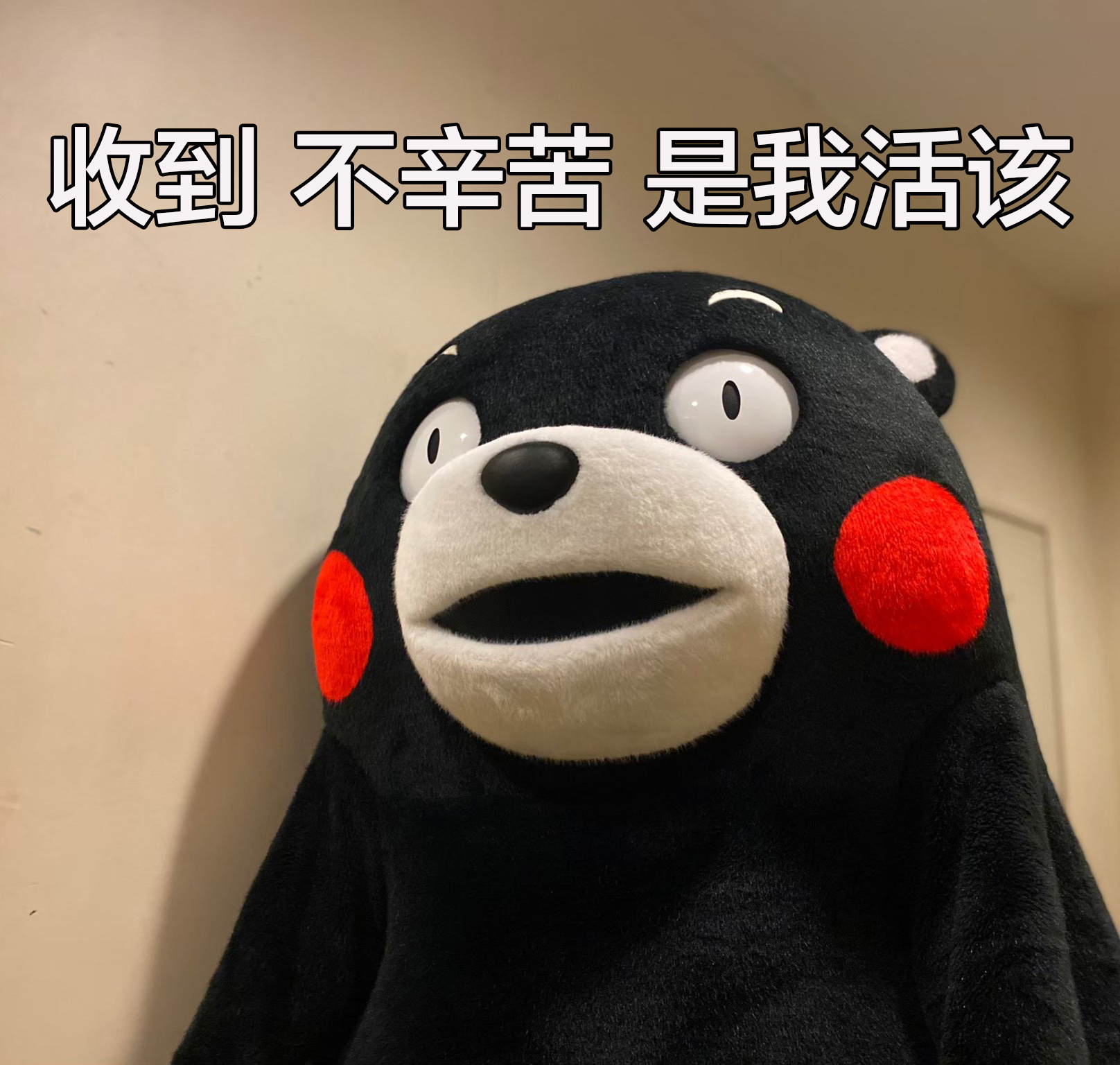 今天的表情包～果然真诚幽默温柔善良不能当饭吃～ ​​​