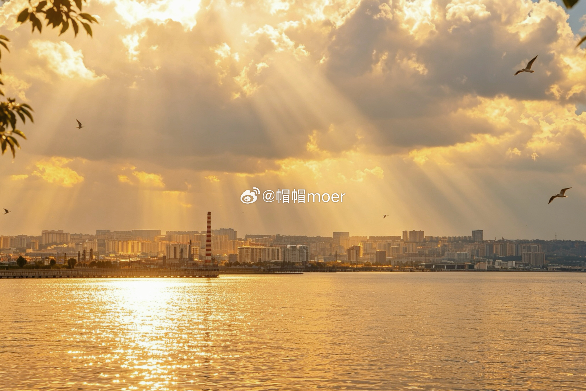 有一种浪漫，叫漫步在「里海之滨」｜有人说，想要读懂巴库这座城市，最好是在傍晚时分