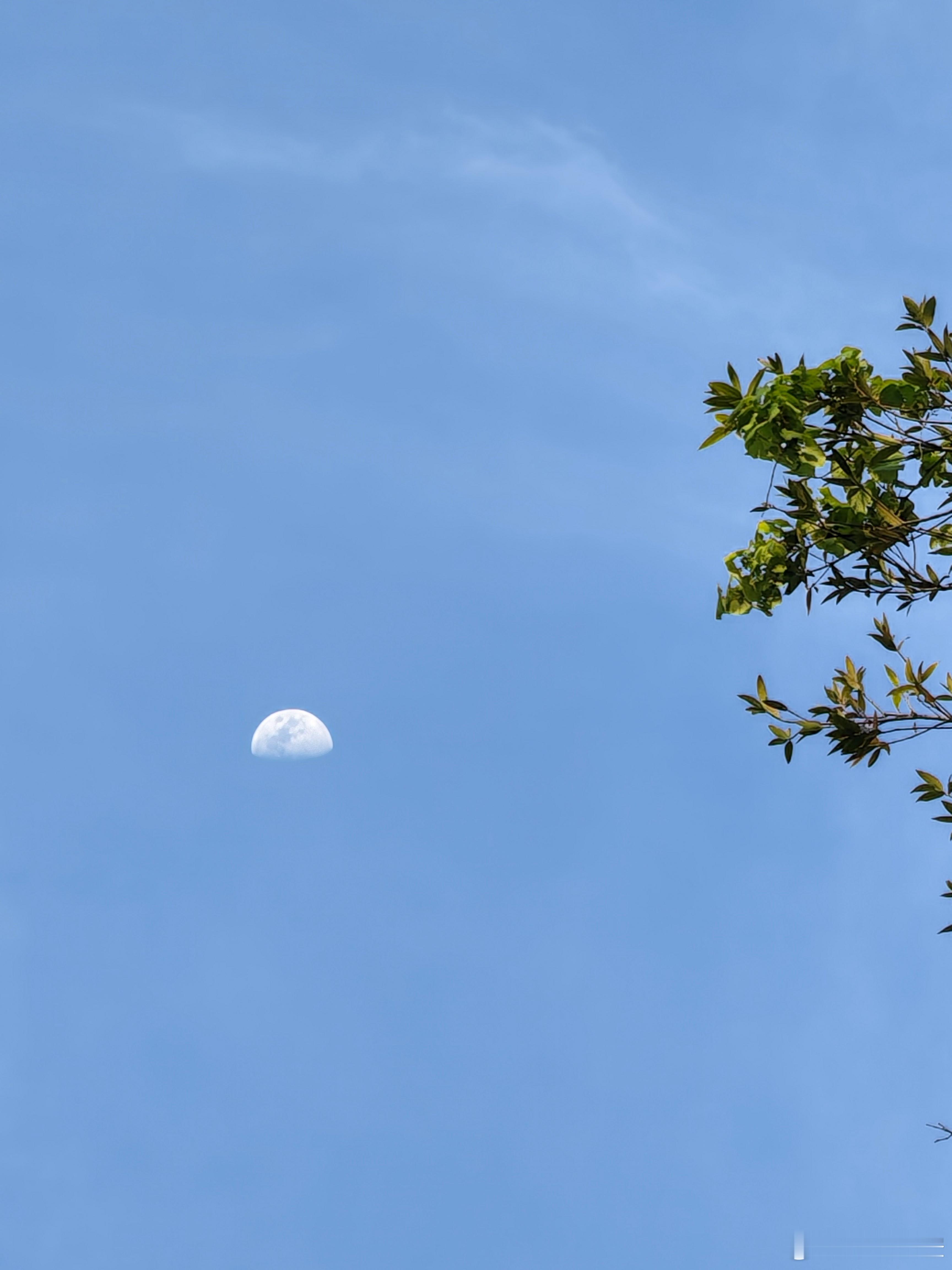 荣耀magicv6 的拍照能力真的刷新认知，白天拍月亮完全不是问题。搭载6400