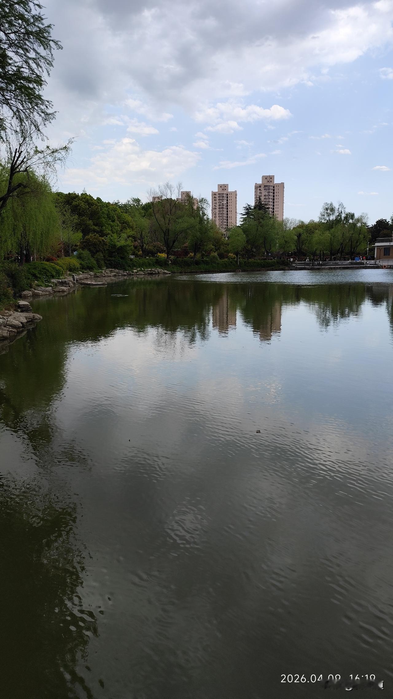 分享一张关于春天的照片吧金莲湖水映春光