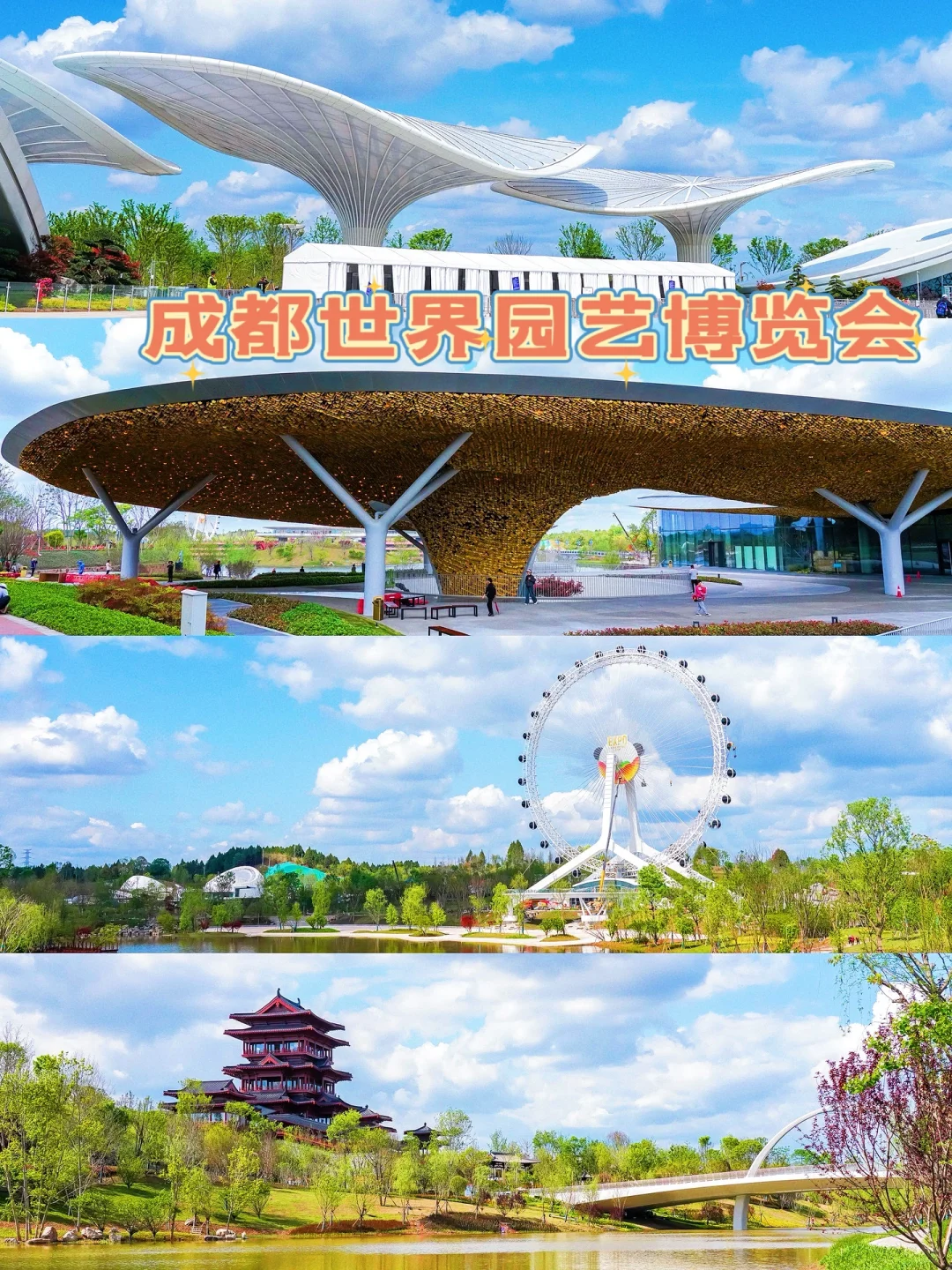 预测下一个顶流打卡地，成都世界园艺博览会！