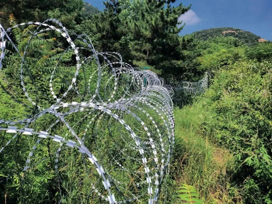 治标方案彻底作废！
2026年7月8日，山东泰安市委市政府召开专题会议，针对全网