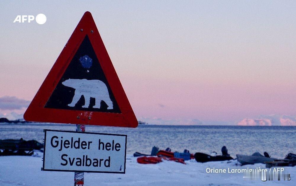 法新社今天报道：“继格陵兰岛之后，北极斯瓦尔巴群岛对大国博弈保持警惕。目前至少表