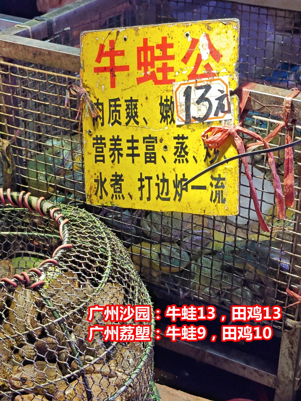 广州沙园和荔塱，养海鱼沙园低，蛙类荔塱便

广州沙园：牛蛙13/斤，田鸡13/斤