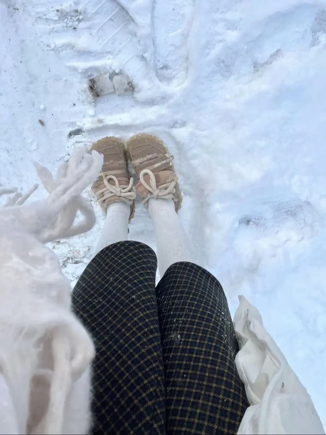 冬天又到了 会幸福的这句话说了一年又一年。风里已经有了冬的味道