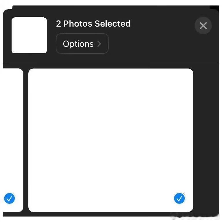 电子底图素材 .𖥔 ݁ ˖   𖤐 