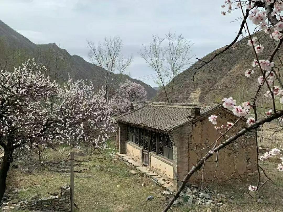 桃花坞里桃花庵，桃花庵下桃花仙，桃花仙人种桃树，又摘桃花换酒钱，酒醒只在花前坐，