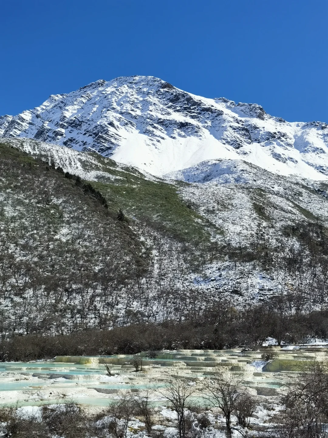 高山向导集结令 雪后九寨沟黄龙美景
