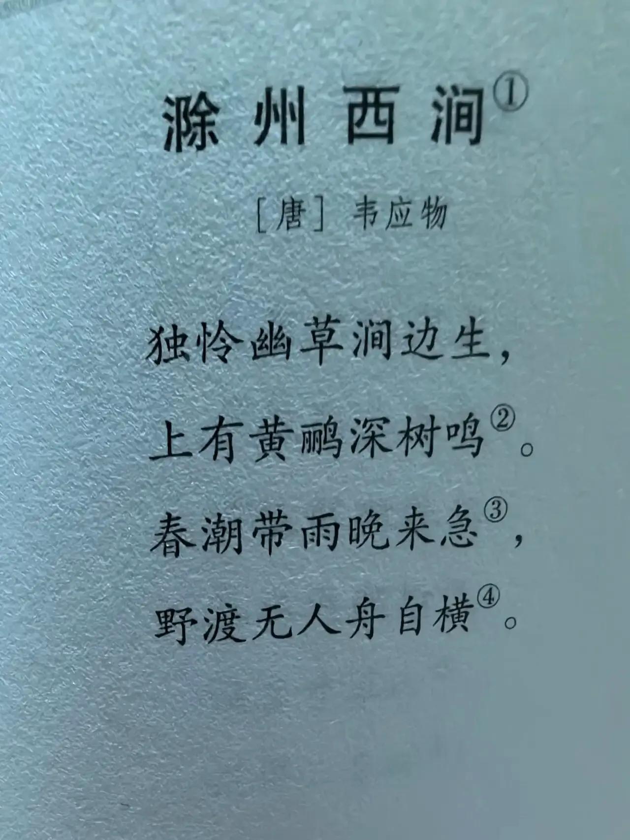 二十年后，重读此诗，好像有不一样的意境[不看][不看]