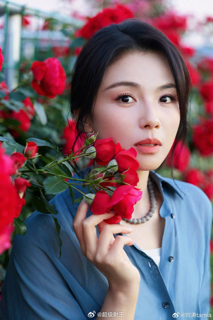 刘涛 