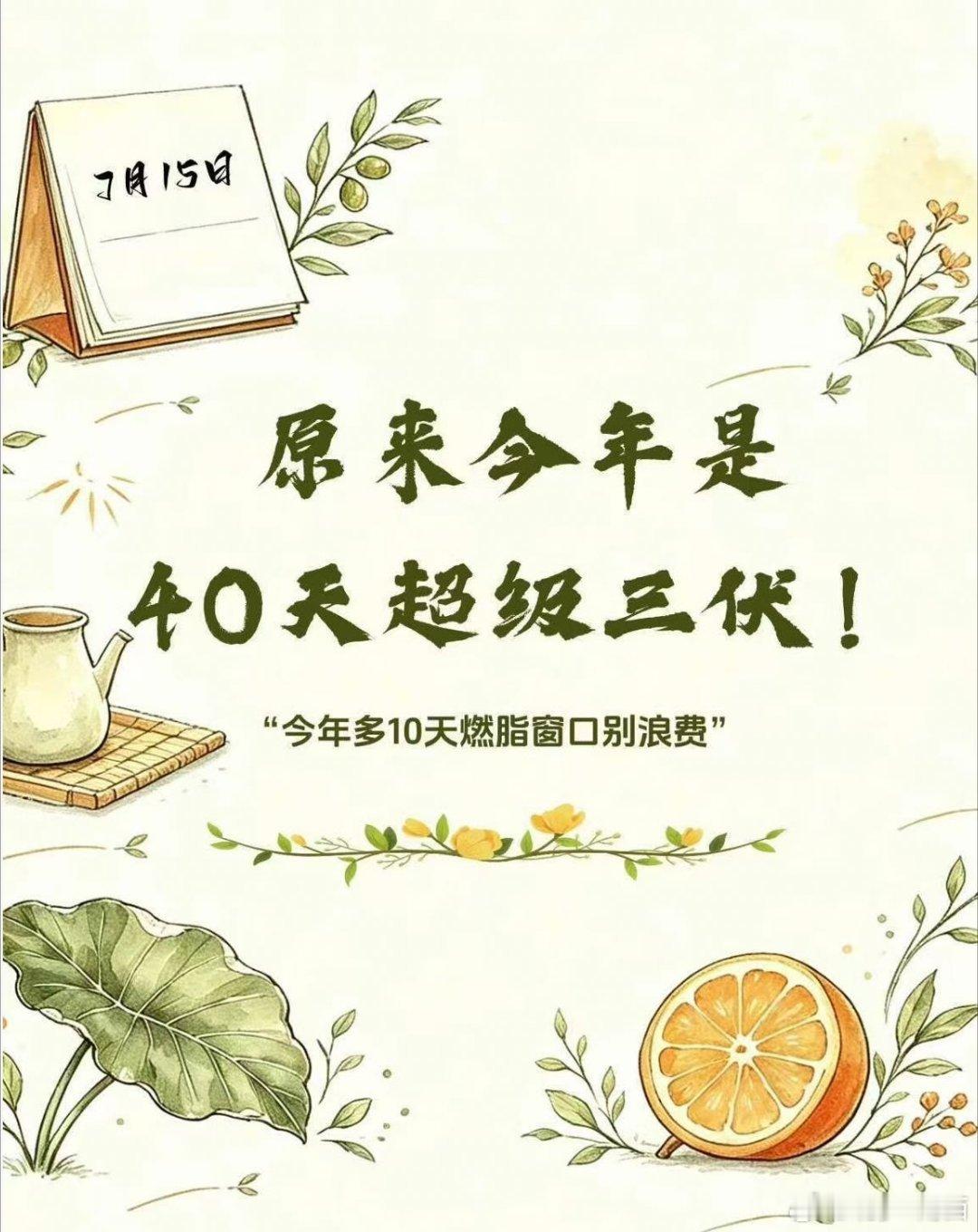 见识到三伏天的厉害了😮💨太阳炙烤大地，光是站在户外就燥热，坚决不主动出门觅食