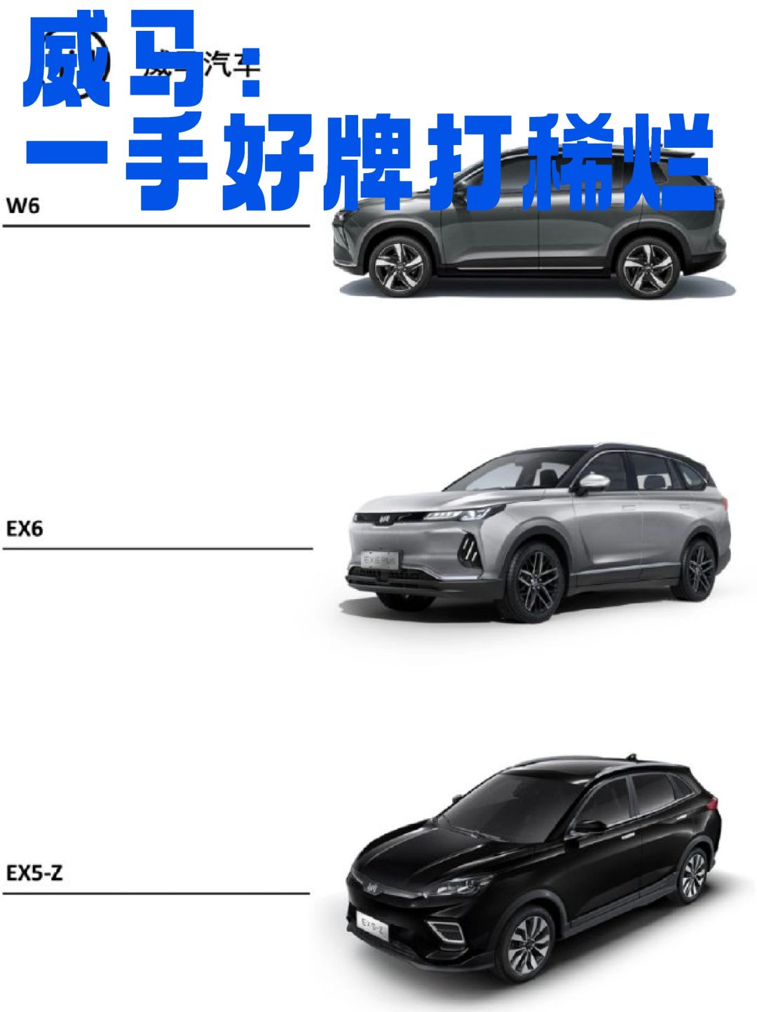 威马：一手好牌打稀烂 ​​​
