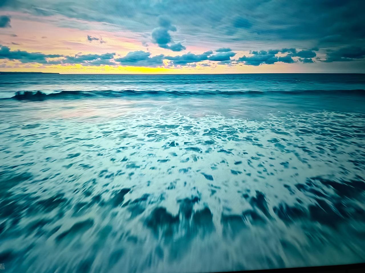 （原创）我眼中的专家

产品有过剩的，专家也有过剩的，现在的一些企业，动不动就评