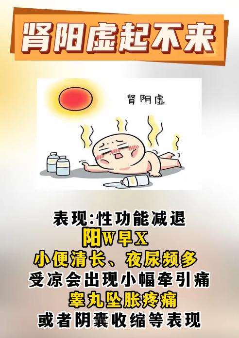 科普：肾阳虚起不来，肾阴虚不持久！