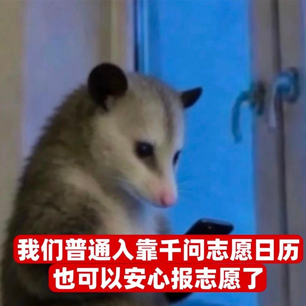 云姐说自己没读过什么书，但为了女儿填志愿也是学会了在千问建档看志愿报告。其实很多