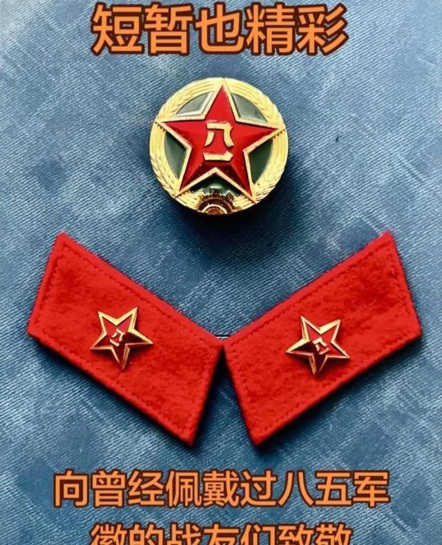 一枚红星，一对领章，承载了多少热血与荣光，向所有佩戴过它们的战友致敬！
一枚红星