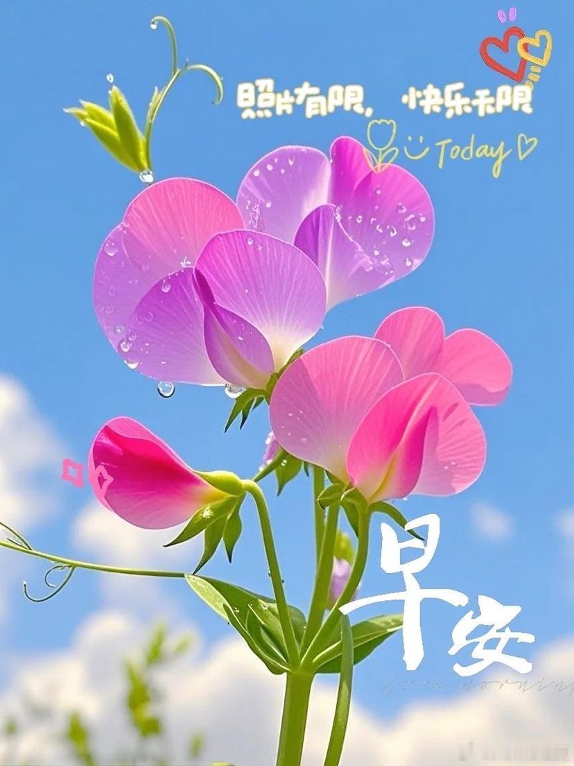 每日一善[超话]  💐 阳光信用 💐 每日一善  清晨的第一缕阳光，为你驱散