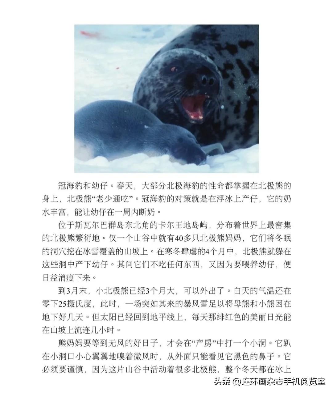 《地球脉动》拾页04