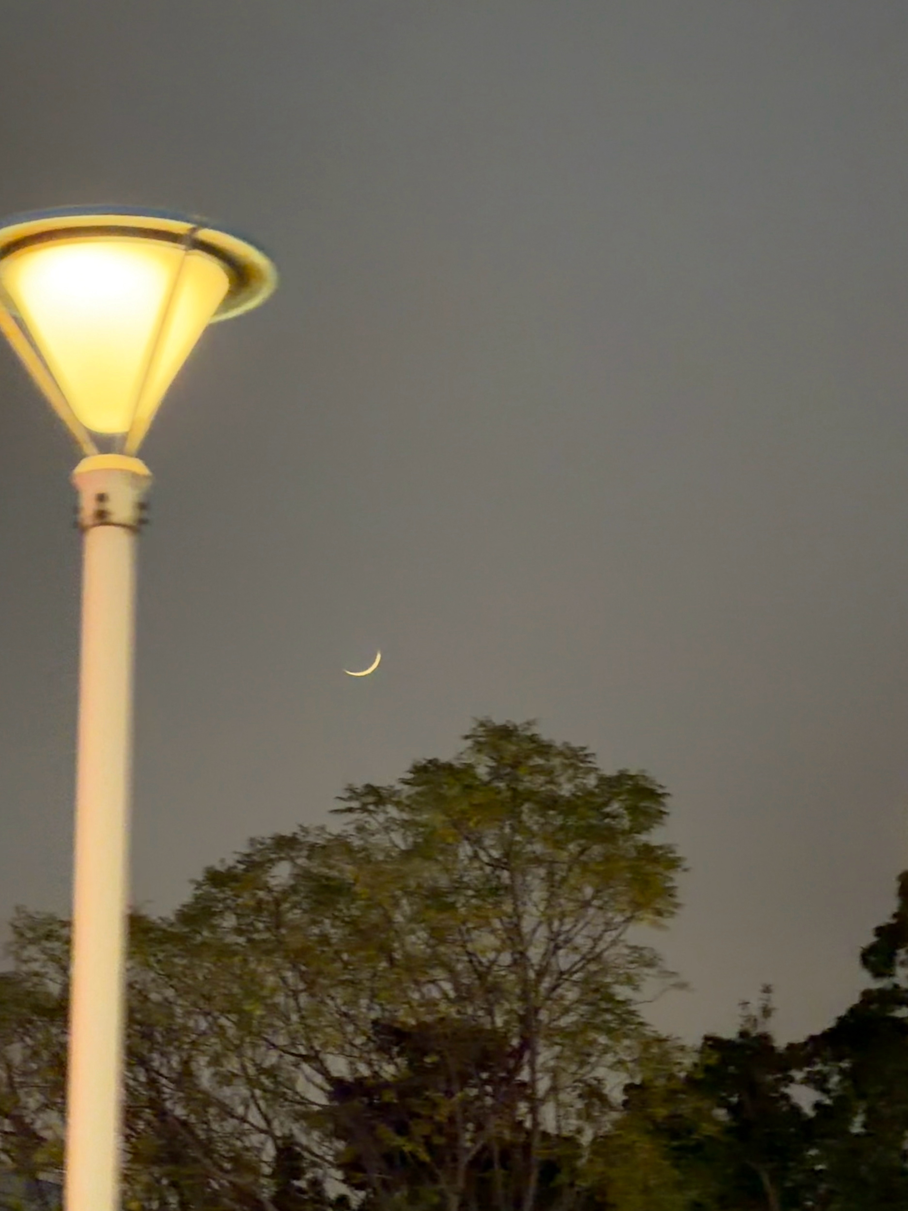 月芽🌙和嫩芽🌱她超爱 