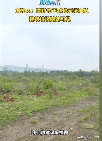 山东，男子拍下一块地，137亩，租金一亩一年980元，他要种果树建设采摘园，可他