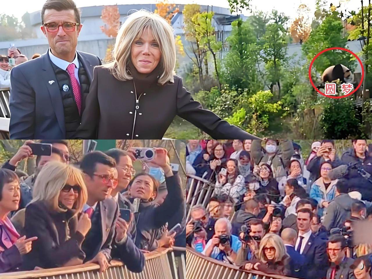 你在看熊猫，人们在看你。
时隔28个月，总统夫人重逢亲自选名的小可爱：圆梦!
