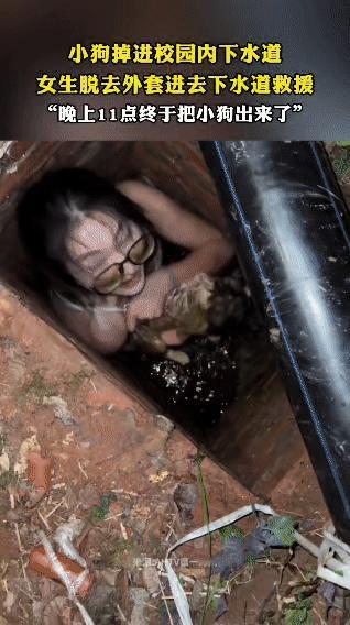 校园里一只小狗在早上不慎掉进了狭窄的下水道，那个洞口只有三只脚宽，小狗被困在里面