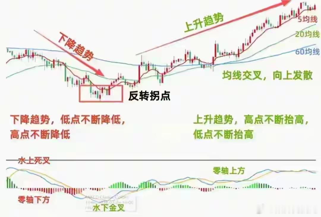 散户亏2.1万，我赚23%——差别就一个东西：你看日线，我看月线先说个数据，你们