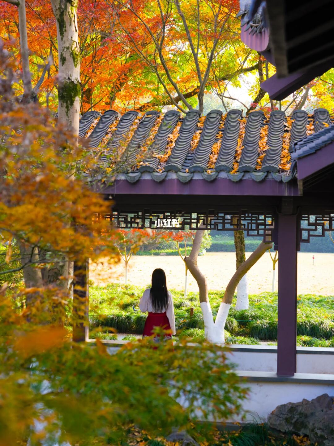 暴走西湖9万步‼️最爱这条赏红枫citywalk