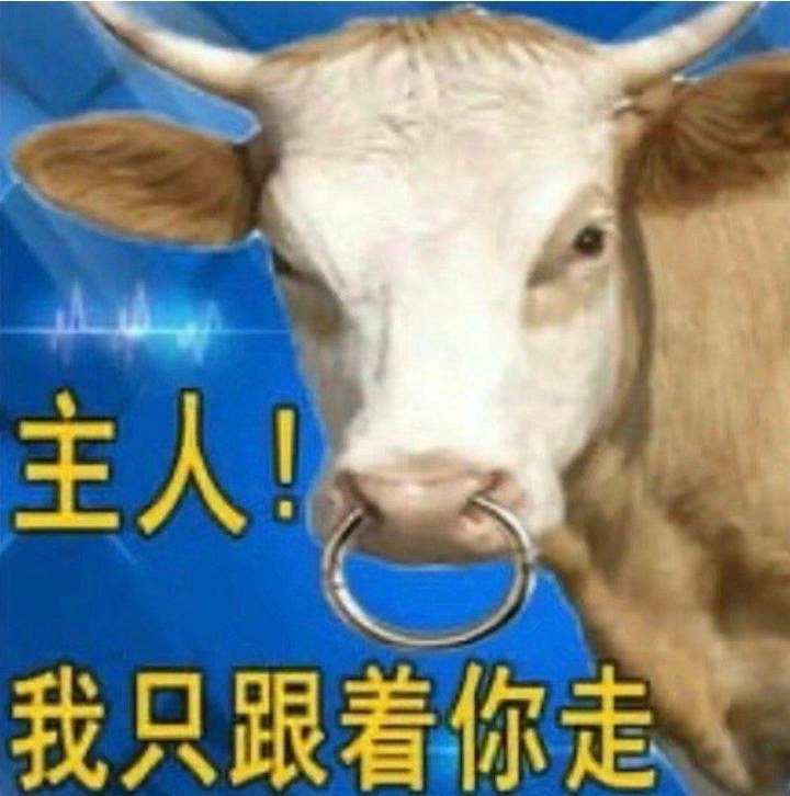 别饿，都必须听我的。 