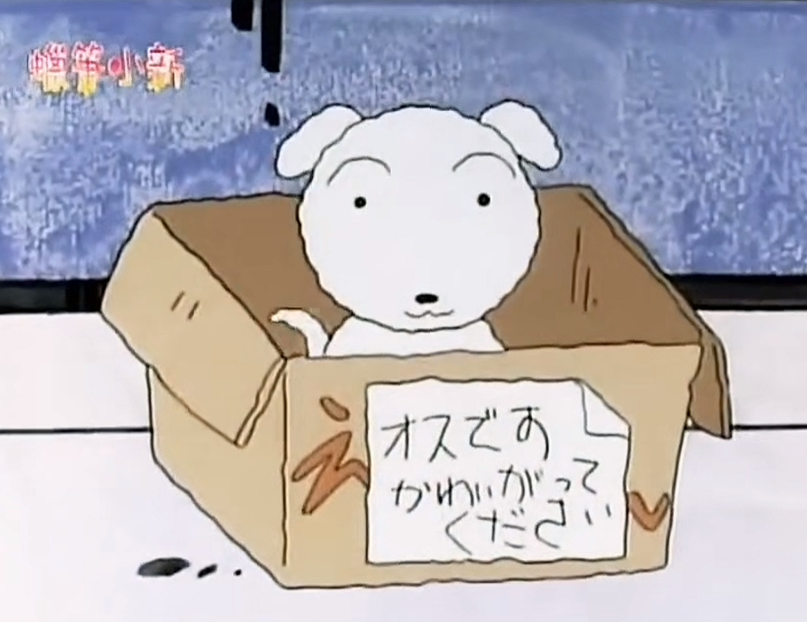 谁丢狗了 