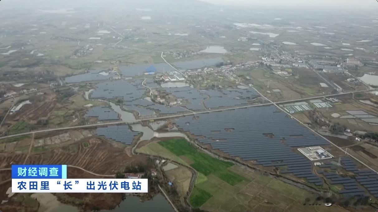 基层当背锅侠既冤也不冤——评湖北部分乡村占用耕地建设光伏电站事件中的耕地保护责任