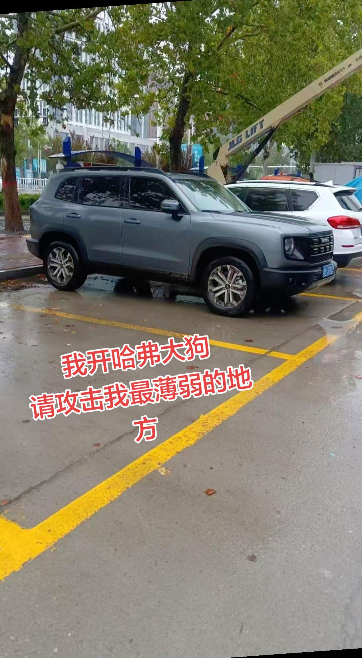 大狗的优点高于缺点，好像也没有薄弱的地方吧