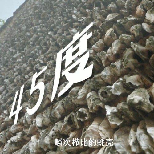 广东人爱吃生蚝这事儿，从沙湾古镇的蚝壳墙上就能看出门道。这些鳞次栉比的蚝壳墙，可