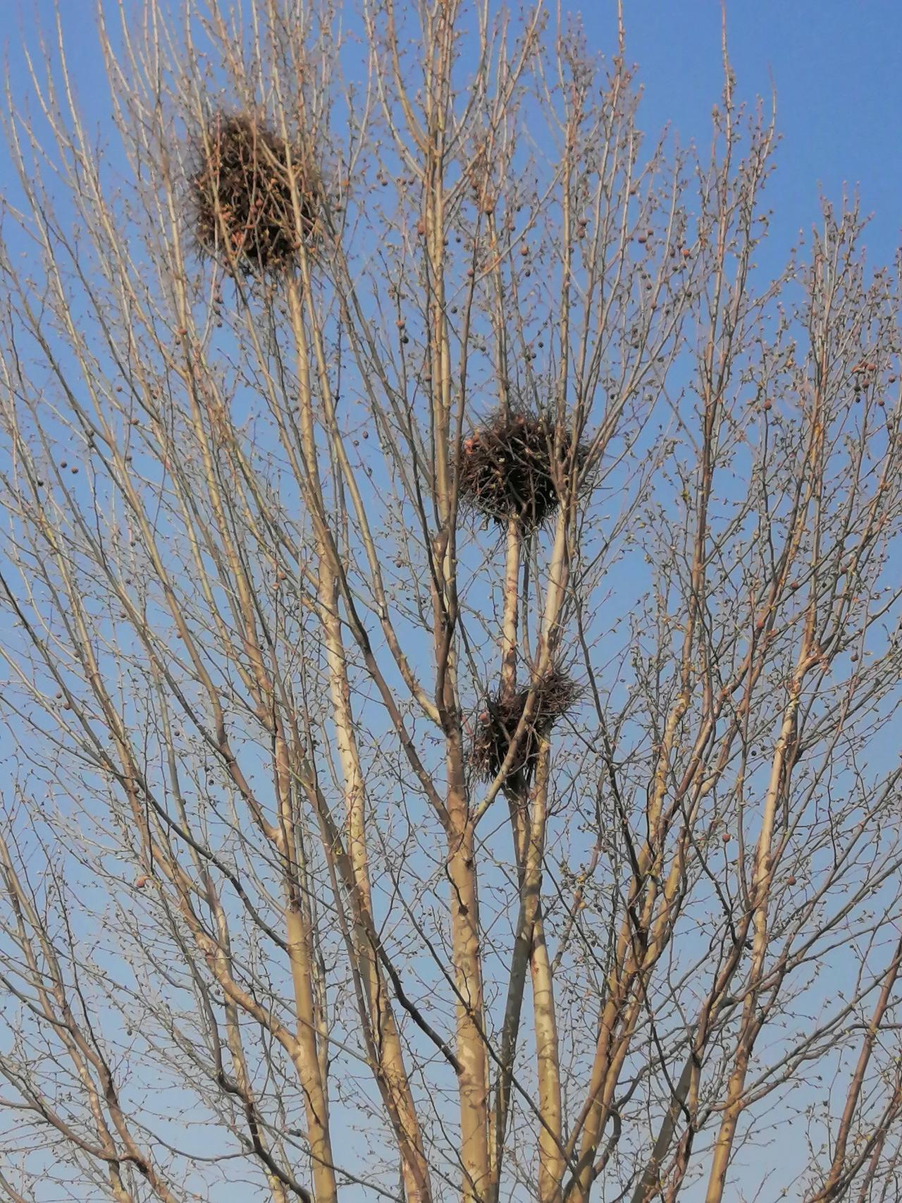 拉一条网线，二十天，没有搞成，问题出在哪里了。
你还别说这些运营商每天都可以找到