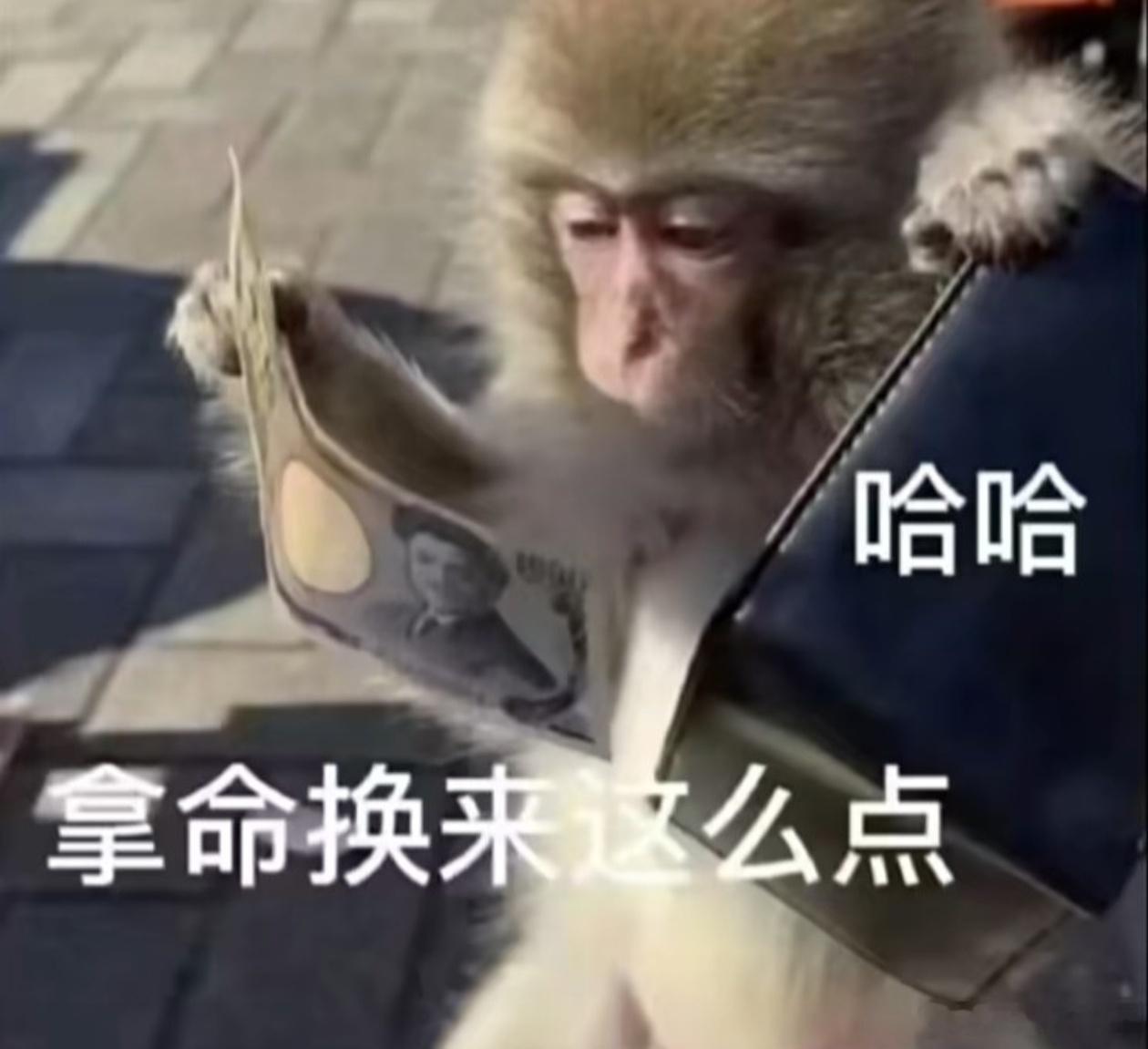 金老赘9.9的气垫都卖的这么费力，而且还是品牌和胎吧提前12天预热，有什么天朝限