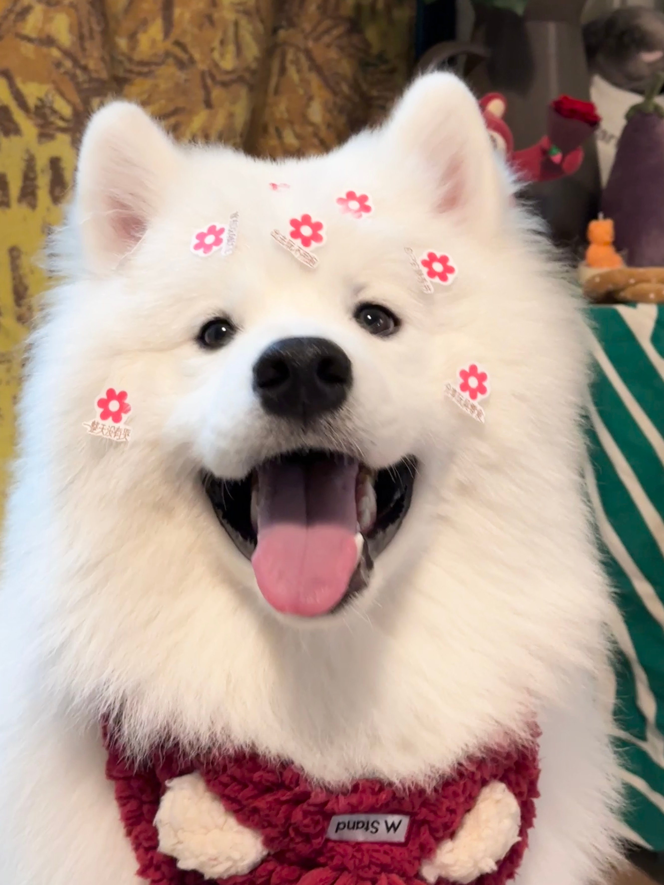 代为卡点 