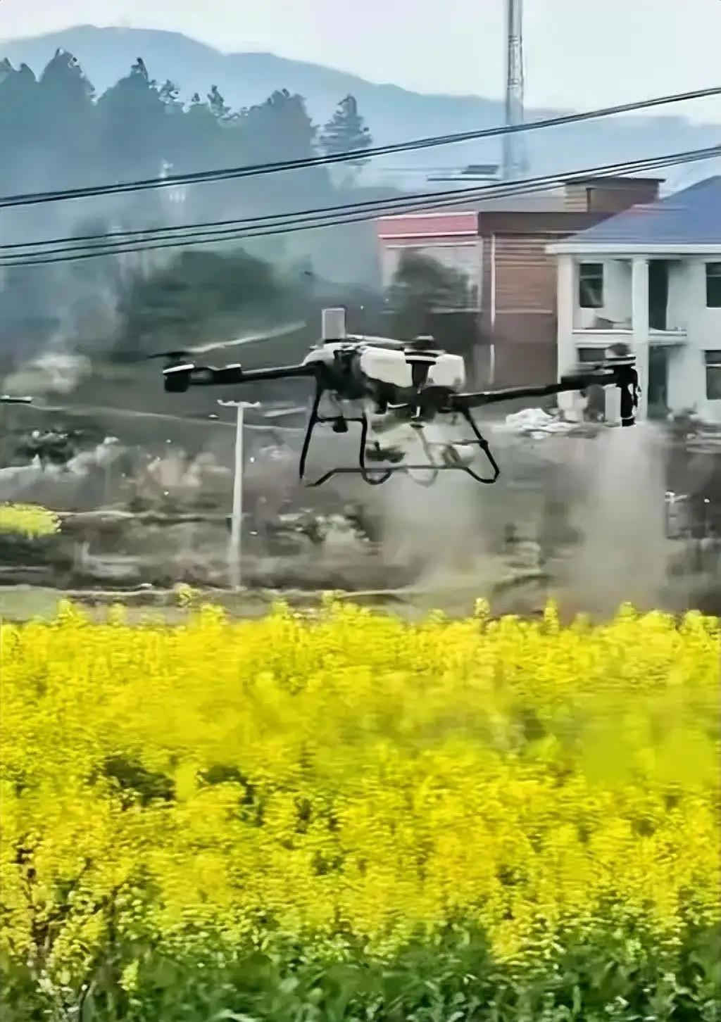油菜花期乱喷药的离谱事真是越扒越有不查不知道，一看才明白。
江西南昌有蜂农，遇到