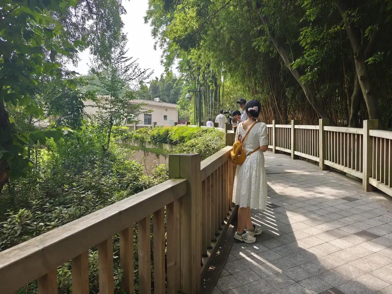 我最喜欢动物，尤其喜欢国宝大熊猫。那憨态可掬呆萌呆萌的模样可以治愈一切不开心。