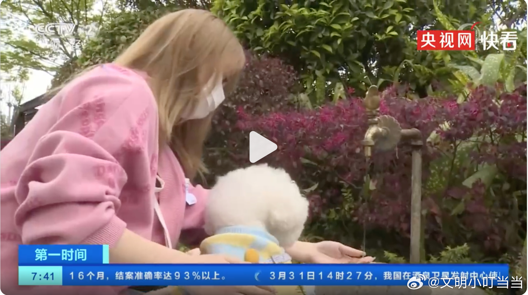 央视别整天曝光这个曝光那个，先曝光一下自己的嘴脸。直饮水、猫狗上餐桌、狗放在别人