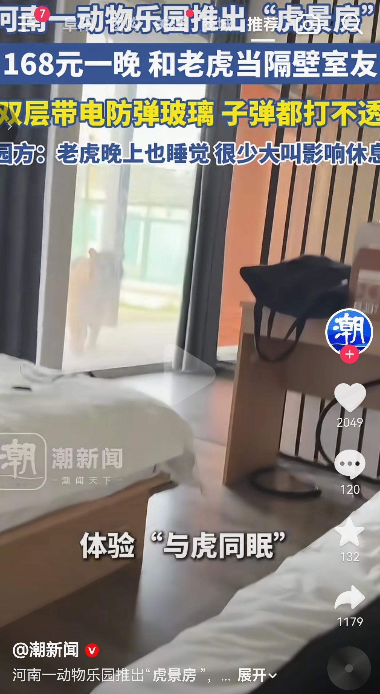168元住“虎景房”和老虎当室友？睁眼看见大老虎溜达，我真的慌了！

河南沁阳的