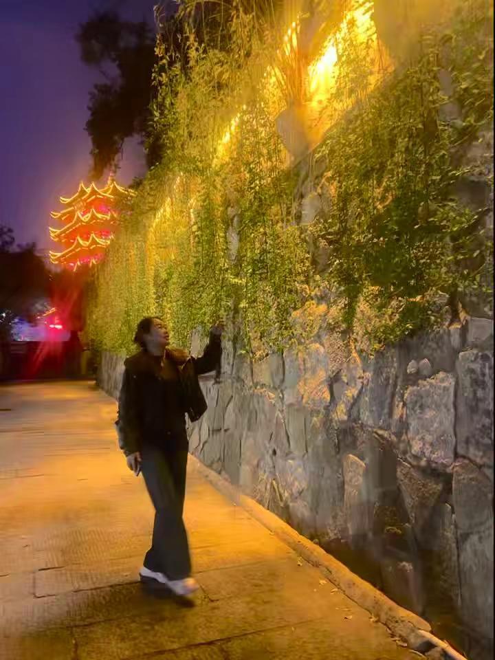 学习和打卡两不误