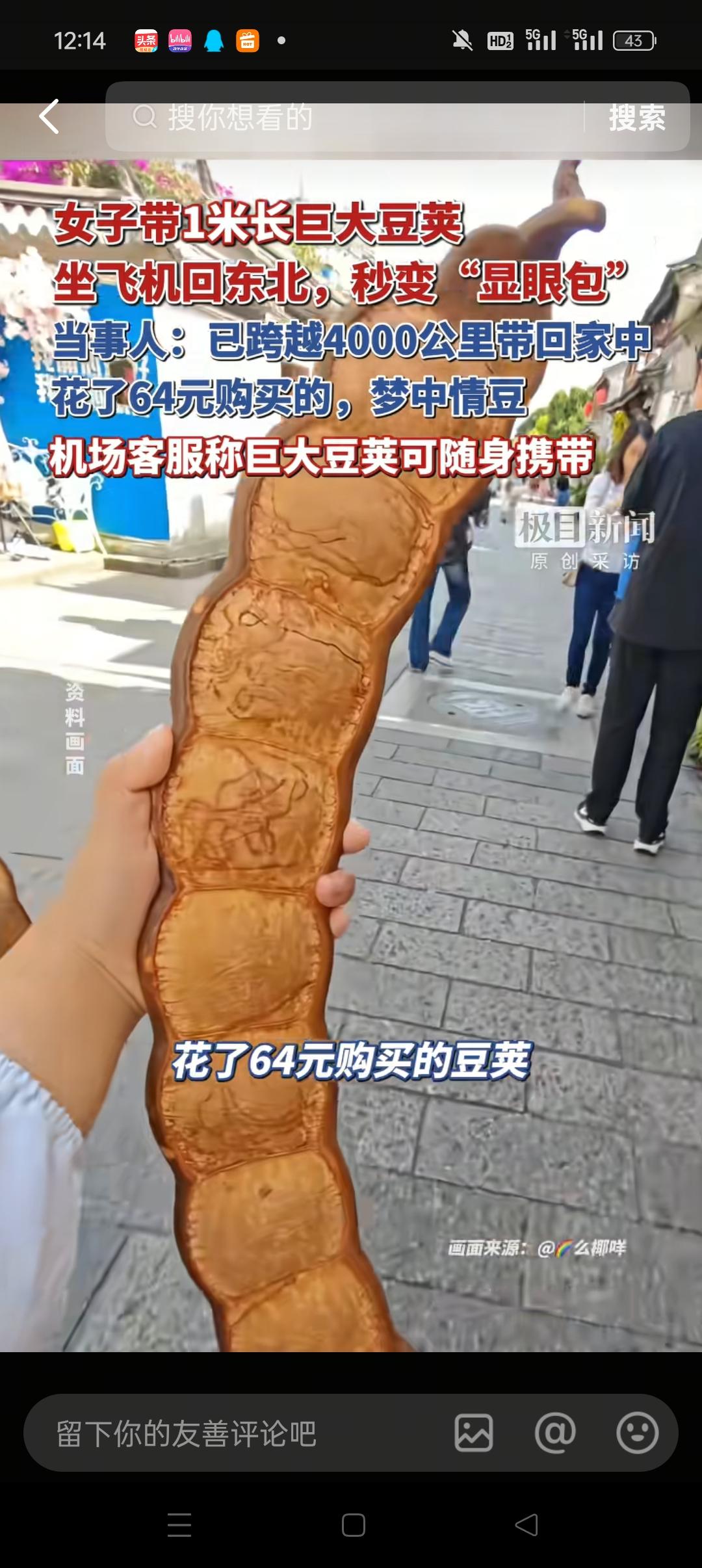 1米多的巨大型豆荚，真的很大了，说真的平时真的很难见到。不为什么，因为有的时候这