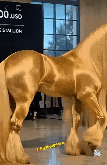 好漂亮的马！
一百万人民币能不能买到？[what]