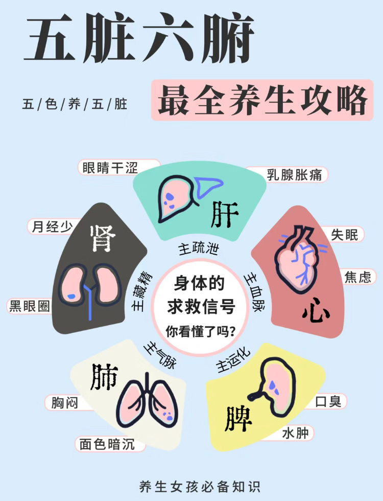 #科普##涨知识# 秋天到了，该养生了，今天给大家分享一下关于人体五脏六腑最全的