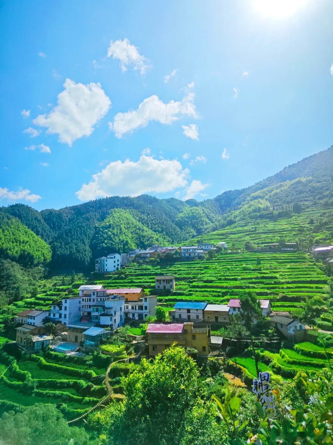 藏在大山里的村落，梯田层层叠叠，满眼都是舒服的绿色～ 