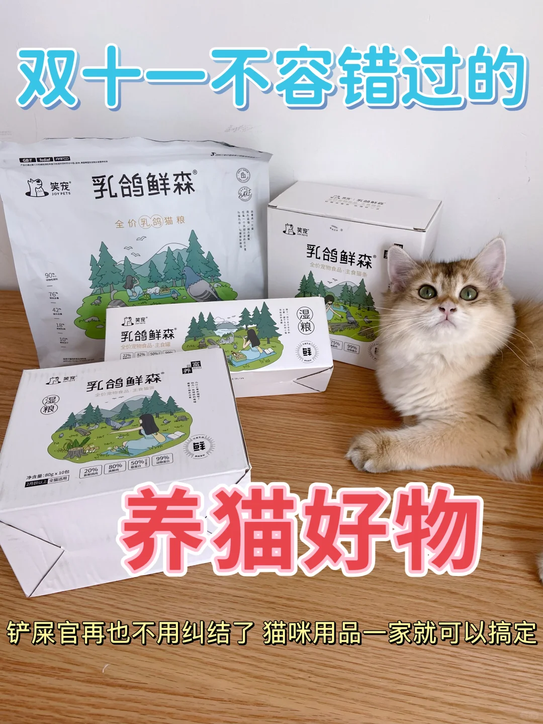 双十一不容错过的养猫好物