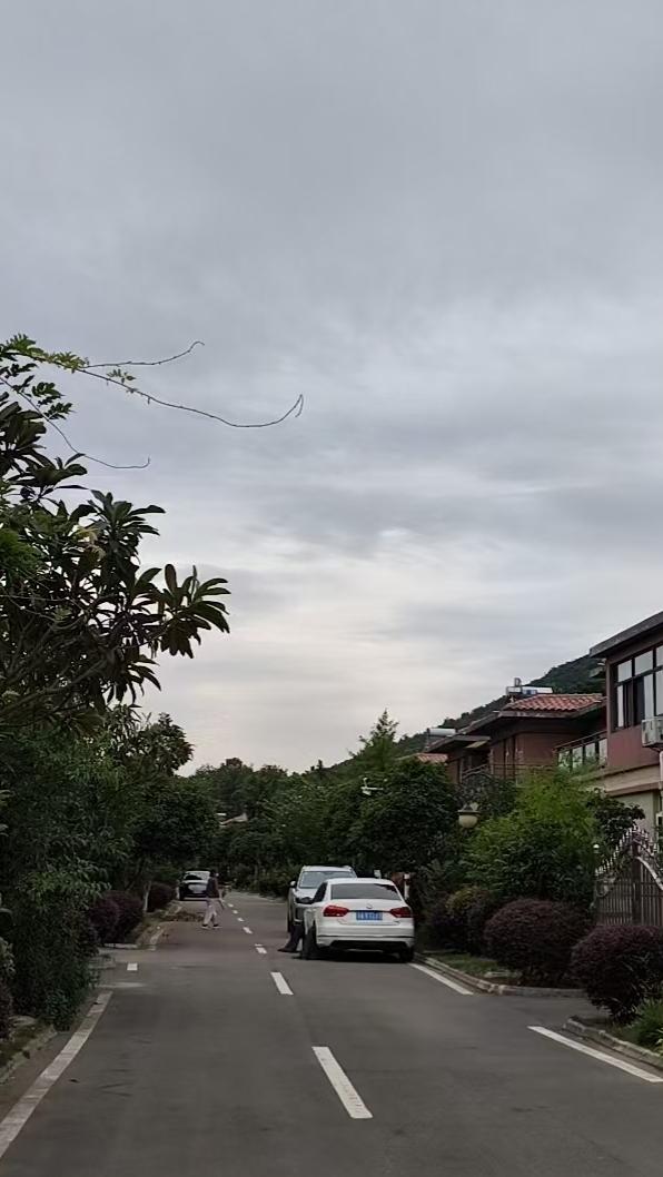 移动云AI智绘新图景成功不是靠奇迹，而是靠耕耘到成熟的轨迹！