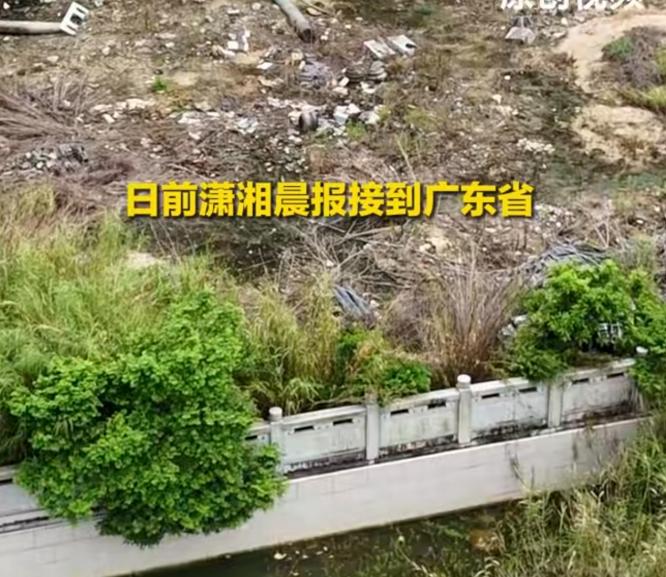 放出狠话打死你就像打死一条狗！广东陆丰“坟爷”手握两级人大代表光环横行乡里，强抢