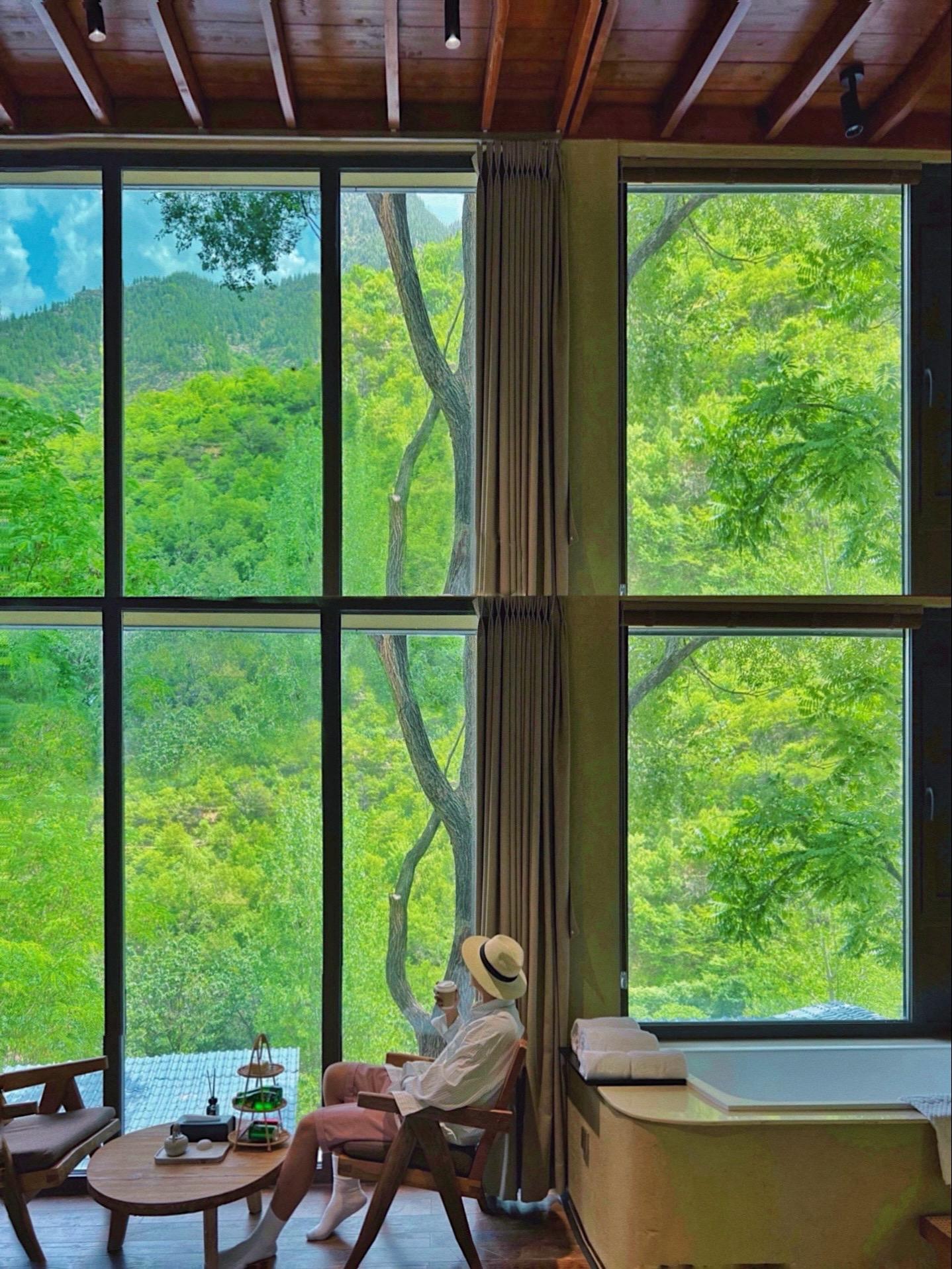 不是莫干山❗️为了一扇窗🪟我来了趟淄博。就山居于此吧⛰️ 树已枝繁叶...